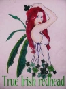 fairy1