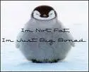 fat penguin