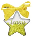 Star charm