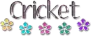 cricket