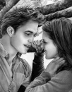 twilight 