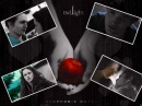 twilight 