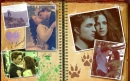twilight 