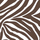zebra 2