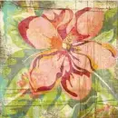 lady flor