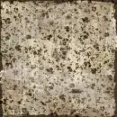 olive floral
