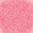 pink rose