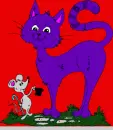 A cat