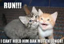 Run Kitten
