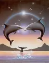 doLphins