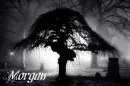 morgan