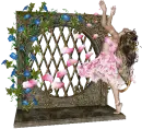 frame-abre