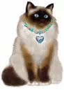 cat wink cute