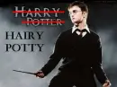 Hairy Potty