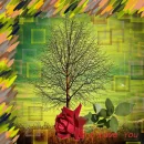 Holly