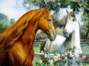 horse love