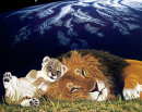 lion and his son =3