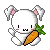 bunny