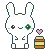 bunny