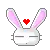 bunny