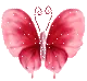 pink butterfly