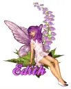 fairy