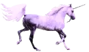 Purple Unicorn