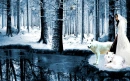 Winter Forest