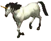 Unicorn xD