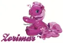 pony