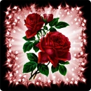 Roses with sparkled background