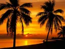 Sunset  Paradise