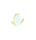 Easter Flower