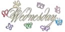 Wednesday Butterflies