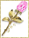 Pink & Gold Rose