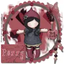 Perry - ragdoll