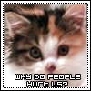 why do people hurt us ?