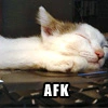 afk