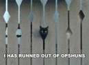 i has run out