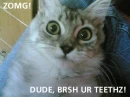 dude