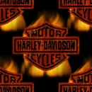 harley davidson cycles bg