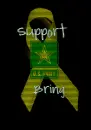 support our troops bg