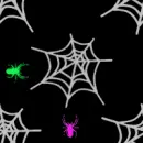 spider bg