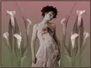 fragile beauty