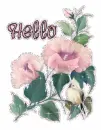 Hello