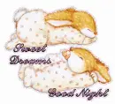 Good Night