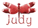 red dragonfly judy