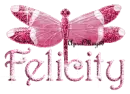pink dragonfly felicity