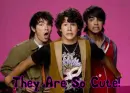 jonas brothers : OMJ they r so cute