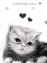 MISSING YOU